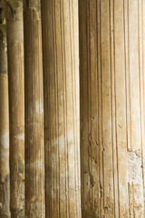 A series of columns in Italian ruins.