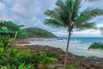 Fototapeta premium impressive paradise beach at the Itacare Bahia Brazil