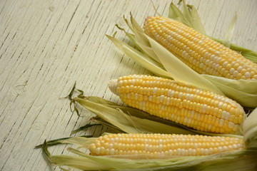 Fresh corn on white wooden background