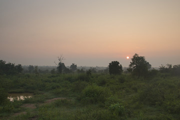Fototapeta na wymiar Sunrise in Udawalawe, Sri Lanka.