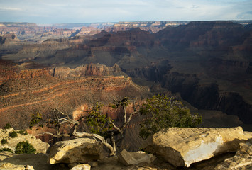 Grand Canyon