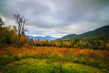 White Mountain Sunrise