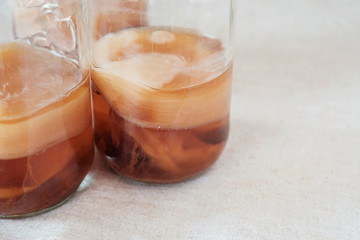 Kombucha mushroom SCOBY, Fermented tea, Probiotic food