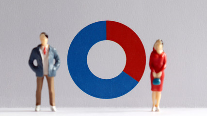 A miniature man and a miniature woman standing in front of a donut chart. The concept of the gender...