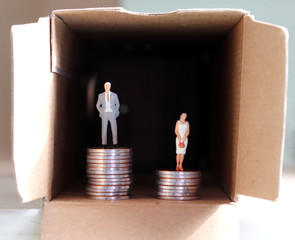 The concept of gender employment and wage differential....
