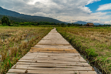 Fototapeta na wymiar Bamboo footbridge