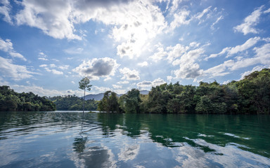 Beautiful landscape with lake, ringed by jungle-clad mountains and with vertiginous limestone karsts and submerged trees breaking the surface of the water at Cheow Lan Lake, Thailand.