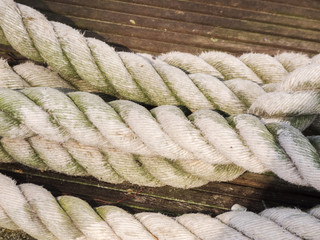 weathered ropes on wood planks