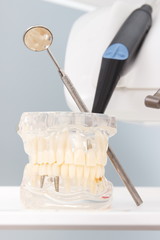 Fototapeta na wymiar Dental jaw model with stomatology mirror and instruments used by dentists