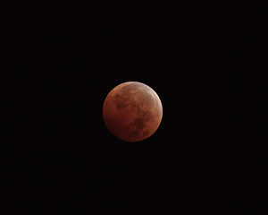 Photo of the eclipsed moon taken from Pasadena, California at 4:19 am on October 8, 2014.