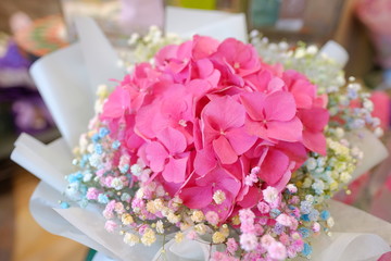 Flower bouquet with colorful Gypsophila and pink Hydrangea macrophylla flower