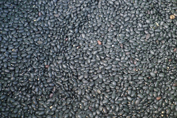 A vegetable market in Portugal offers colorful fruits and vegetables

