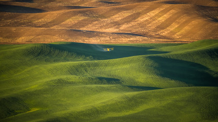 Crop Duster dropping pesticide on a wheat field in The Palouse at sunrise