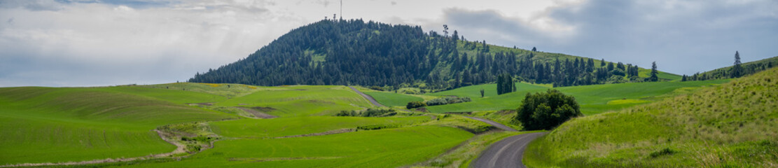 Panorama: Kamiak Butte