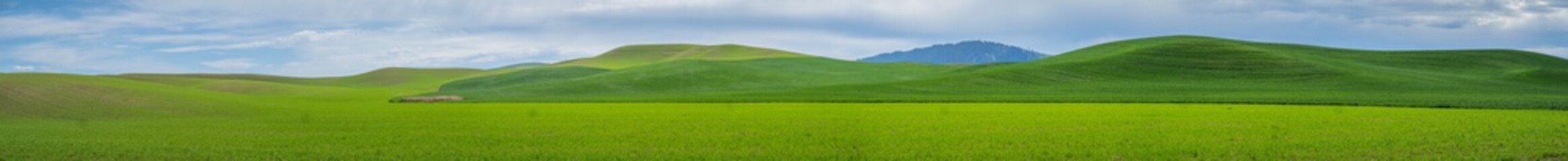 Panorama: Kamiak Butte in The Palouse