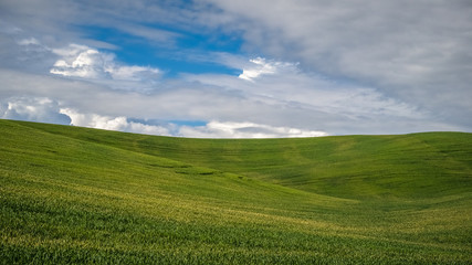 Rolling hills of The Palouse
