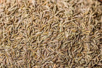roman cumin seeds spice