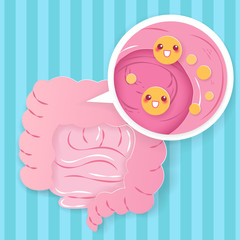 intestine with with probiotics