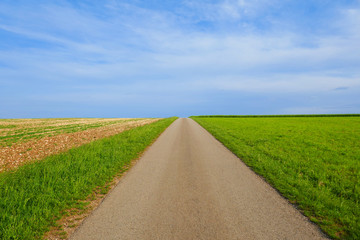 Road. A field road under a bright blue sky.Landscape in minimalist style.traveling background