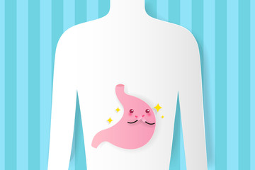 stomach with health concept