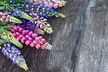 variety of lupin flowers on wooden surface