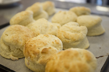 Home Baked Scones on the tray