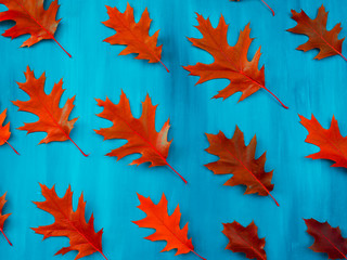 Red oak leaves pattern on a blue background