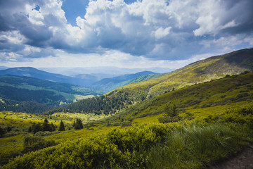 Fototapeta na wymiar green mountain meadow with mountain range in the background.