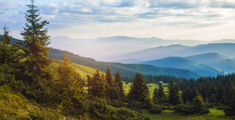 Fototapeta premium beautiful sunrise in the Carpathian mountains