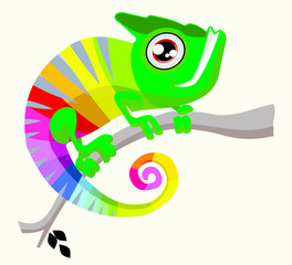 funny rainbow chameleon on the brach