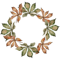 Fototapeta premium Autumn chestnut leaves. Leaf plant botanical garden floral foliage. Frame border ornament square. Aquarelle leaf for background, texture, wrapper pattern, frame or border.