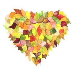 осеннее сердце из листьев акварель - 207712059