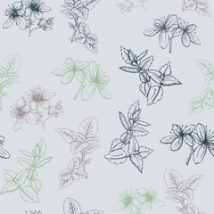 seamless pattern with herbs