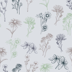 seamless pattern with herbs