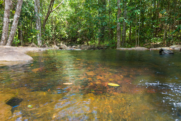 Waterfall and stream in the forest in Itacare