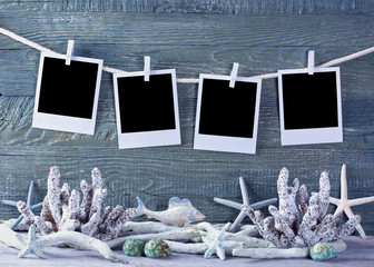 Marine life decoration