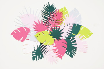 Palm Green Leaves Tropical Exotic Tree Isoalted on White Background. Square Image. Holliday Patern Template Leaf