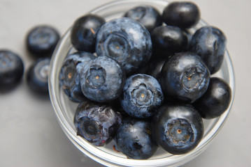 Blueberries in Glass Bowl Isolated on Gray Textured Background Fresh Berry Copy Space