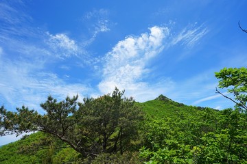 photo taken mountain climbing