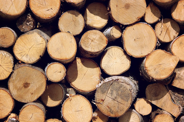 Fototapeta premium Background of firewood stacked in the woodpile
