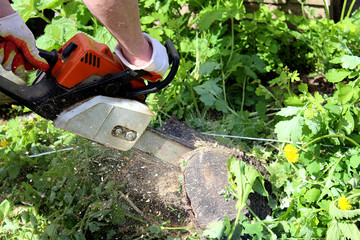 worker sawing a wooden stump with a chainsaw