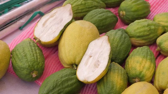 Choosing an etrog on Sukkot