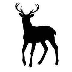deer silhouette, vector, illustration