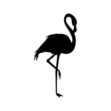 vector file of flamingo