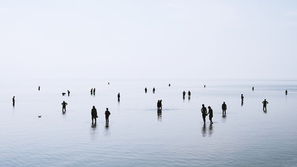 large group of people or crowd standing walking and swimming in shallow water at German north sea...