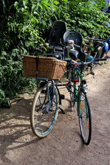 deux vélos côte à côte, de face, au soleil, un avec panier en osier.