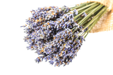 Small bouquet of dried lavender isolated on white background.