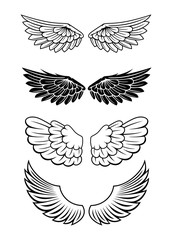 Illustration Of Wings Collection Set