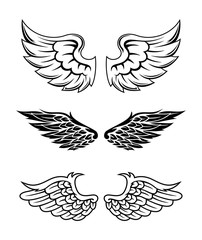 Illustration Of Wings Collection Set