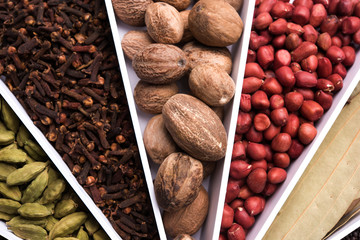 Indian colourful Spices in a white Sunburst or sun rays shape designer container, selective focus.